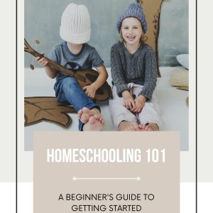 Cover_E-Book Homeschooling 101